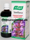 Saviforce dr�ber A. Vogel